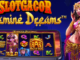 Jasmine Dreams Informasi Tentang Slot Online Pragmatic Play